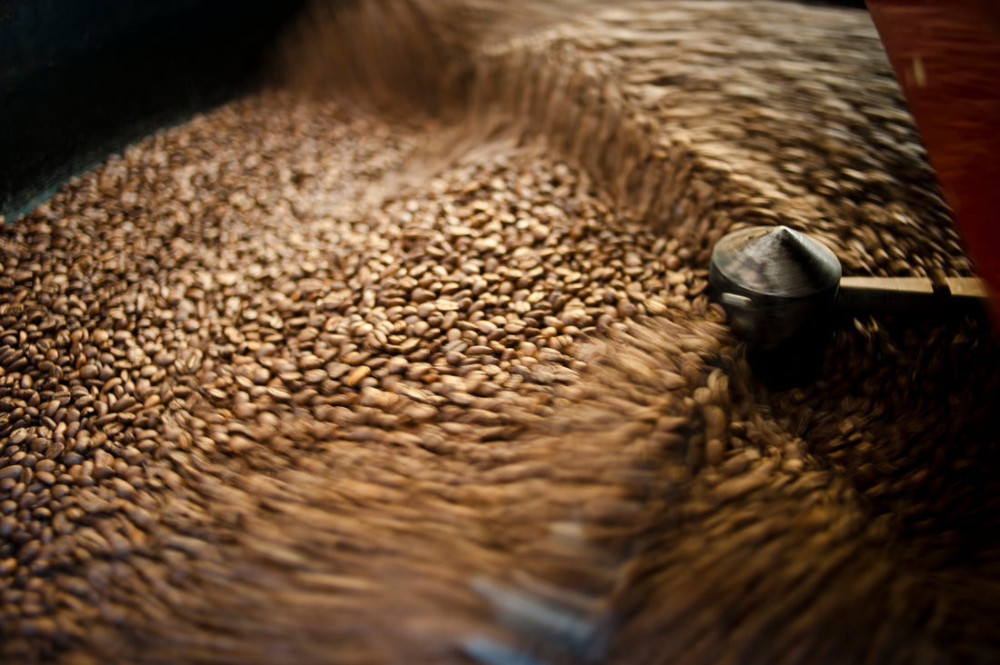 3 Sustainable Tips for Enjoying Your Coffee Fresh