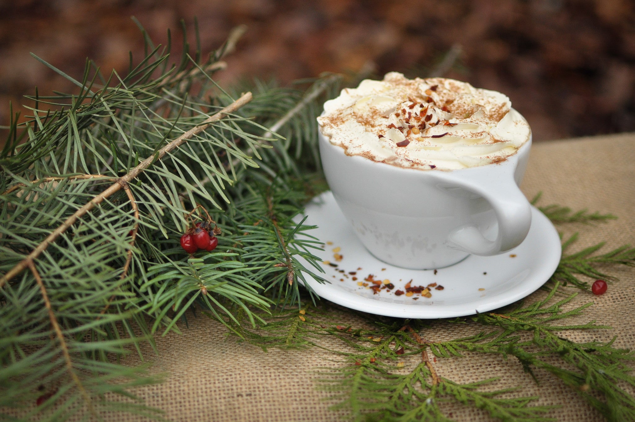 Spicy mocha with whipped cream