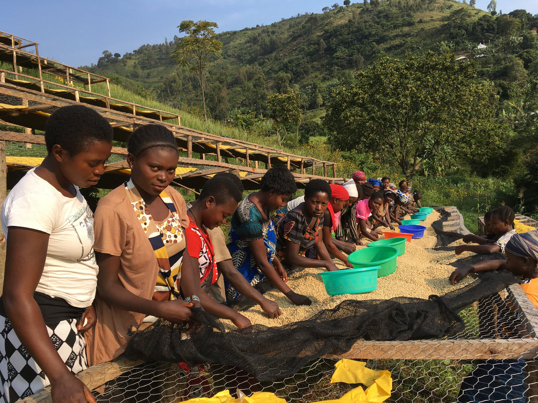 Empowering Communities: On The Ground Global's Work in the Democratic Republic of Congo