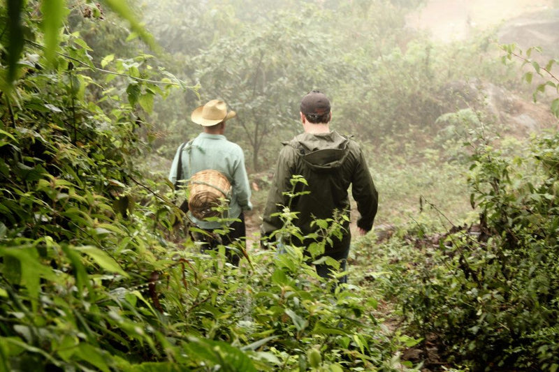 Higher Grounds: Coffee Made for a Higher Purpose