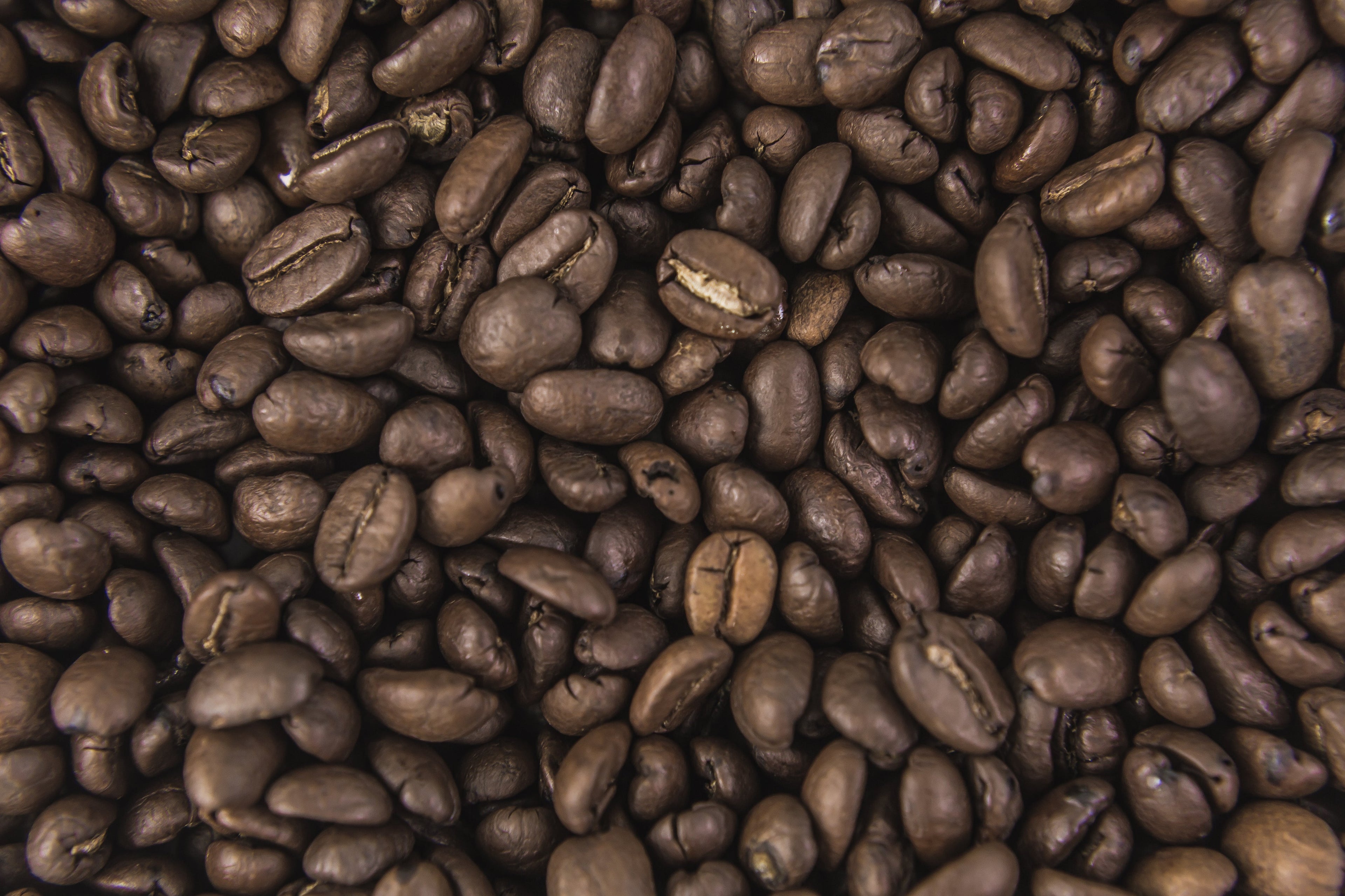 Tasting Table Recognizes Higher Grounds as a Midwest Standout in Specialty Coffee