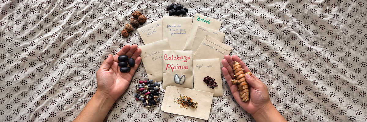 From Schools For Chiapas: Marichuy to Mother Seeds, Sowing Seeds for Life