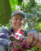 Miriam "Betty" Perez Microlot, Honey Processed | Organic Honduran Apex