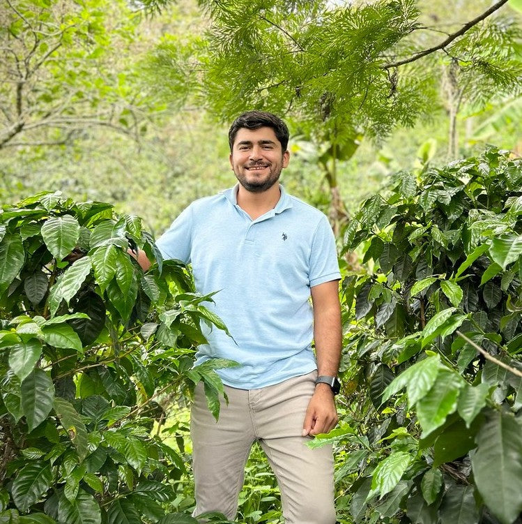 Bryan Bautista Microlot, Natural | Organic Honduran Apex